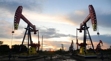 PPL finds oil, gas reserves in Sindh, Balochistan