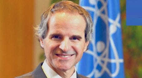 Argentine diplomat Grossi to take charge as IAEA chief