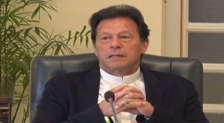 PM Khan forms committee for legal cases