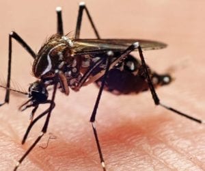 1,300 workers get training to eliminate dengue in Rawalpindi