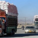 Sindh govt orders unhindered transportation of wheat to major cities