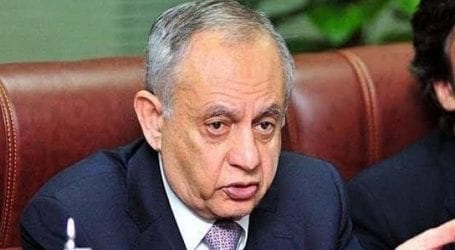 Exports to Africa increase by 10 percent in 2020: Razak Dawood