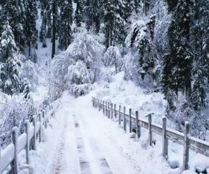 PMD predicts rains, snowfall in hilly areas of Pakistan