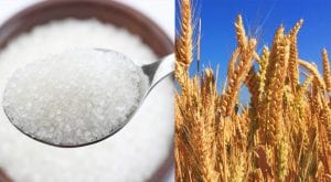 wheat and sugar crisis