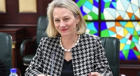 Foreign Secretary apprises Alice Wells on situation in IoK