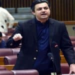 Govt has paid off over $10 billion in its first year: Hammad Azhar