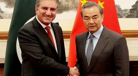 FM Qureshi telephones Chinese counterpart Wang Xi