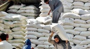 Flour prices increased in all over country