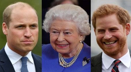 Queen gives new royal title to Prince William after Harry’s exit