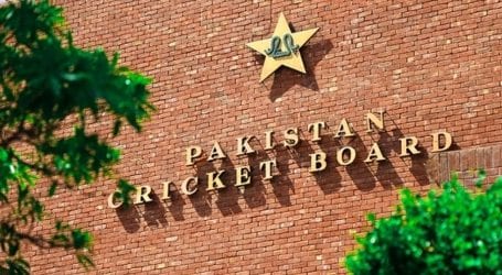 187 cricketers awarded domestic contracts: PCB