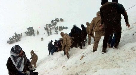 Over 33 people killed by avalanche in eastern Turkey