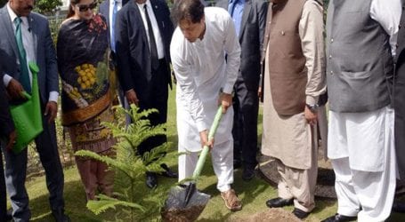 PM Khan inaugurates spring tree plantation drive in Mianwali
