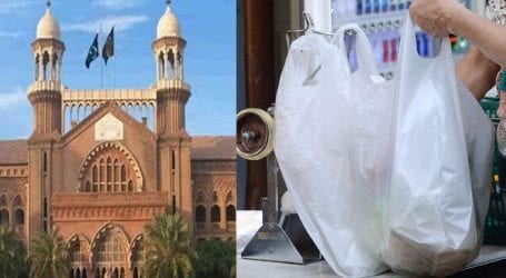 Lahore High Court imposes ban on plastic bags