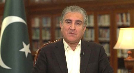 Pakistani nation stands firm with people of Kashmir: FM Qureshi