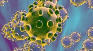 Sindh, KP reports new coronavirus cases