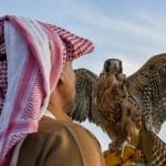 Saudi prince gets approval to export 50 falcons from Pakistan