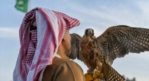 Saudi prince gets approval to export 50 falcons from Pakistan