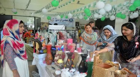 Resolution day celebrations: Arts and craft exhibition to be held on March 25