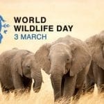 World Wildlife Day
