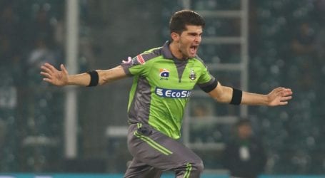 Lahore Qalandars thrash Quetta Gladiators by eight wickets
