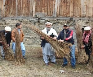 Free plants distributed at Bumborat Kalash Valley in Chitral