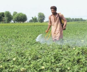 Agriculture sector grew by 2.67% in 2019-20: Economic Survey