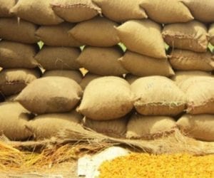 Ministry revises local wheat output to 27.5mn tons