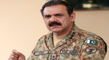 CDWP approves US$7.2 billion for ML-1 project: Asim Bajwa