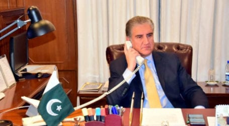 Qureshi discusses COVID-19 epidemic situation with Irish counterpart  