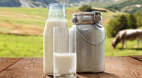 World Milk Day 2020: A glassful of health