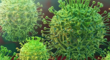 Global coronavirus death toll tops 554,000