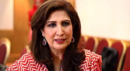 Essential measures being taken to improve status of women: Shehla Raza