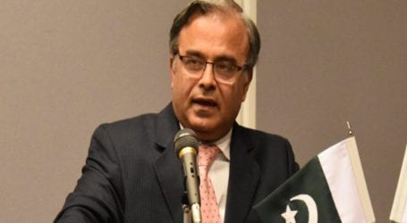 US cannot let India get away with brutal oppression in IoK: Envoy