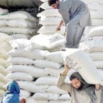 ECC directs to accelerate efforts for wheat imports