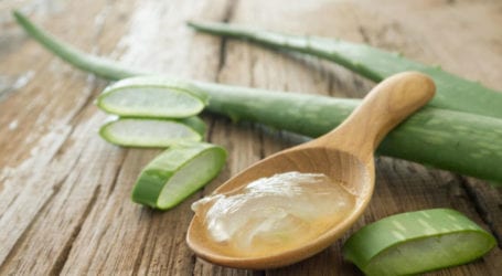 Six Healthy Benefits Of Aloe Vera You Must Know