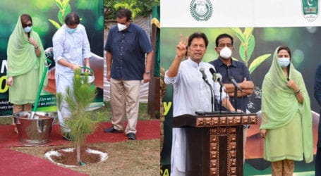 PM thanks citizens for participating in tree plantation drive