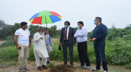 Karachi University offers 25 acres of land for urban forest