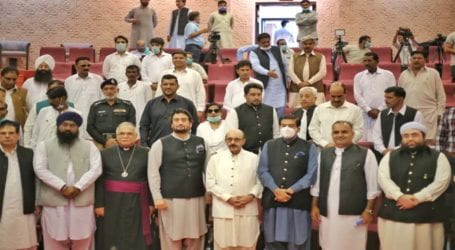All minorities enjoying equal rights in Pakistan: Shehryar Afridi
