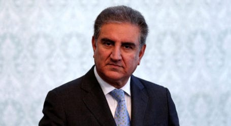 FM Qureshi departs for Egypt on two-day visit