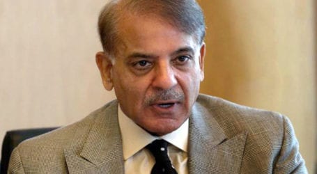 NAB unable to provide evidence against Shehbaz Sharif in plots case