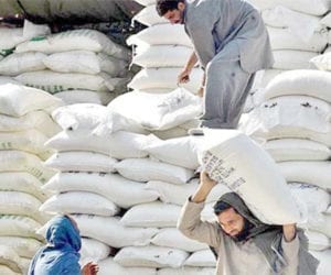 Sindh government fixes flour price at Rs65 per kg    