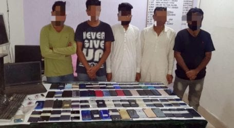 Criminal gang involved in cell phone snatching arrested 