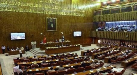 Senate passes resolution condemning blasphemous sketches in France