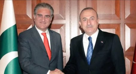 FM Qureshi discusses regional peace, security with Turkish counterpart