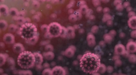 Global coronavirus death toll crosses 1,072,700