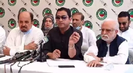 PDM trying to ‘blackmail’ country’s institutions: Firdous Shamim