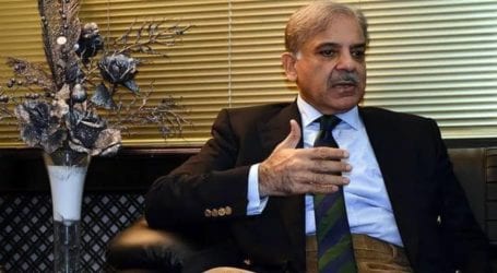 Four members of Shehbaz Sharif’s family declared proclaimed offenders