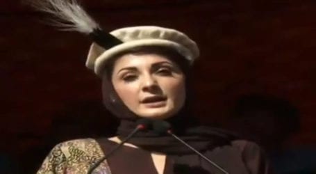 Will not allow stealing votes in Gilgit-Baltistan: Maryam Nawaz