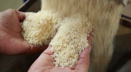 Pakistan’s basmati rice export surpasses last year’s level