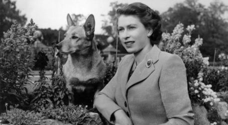 Queen  Elizabeth heartbroken as beloved royal dog dies